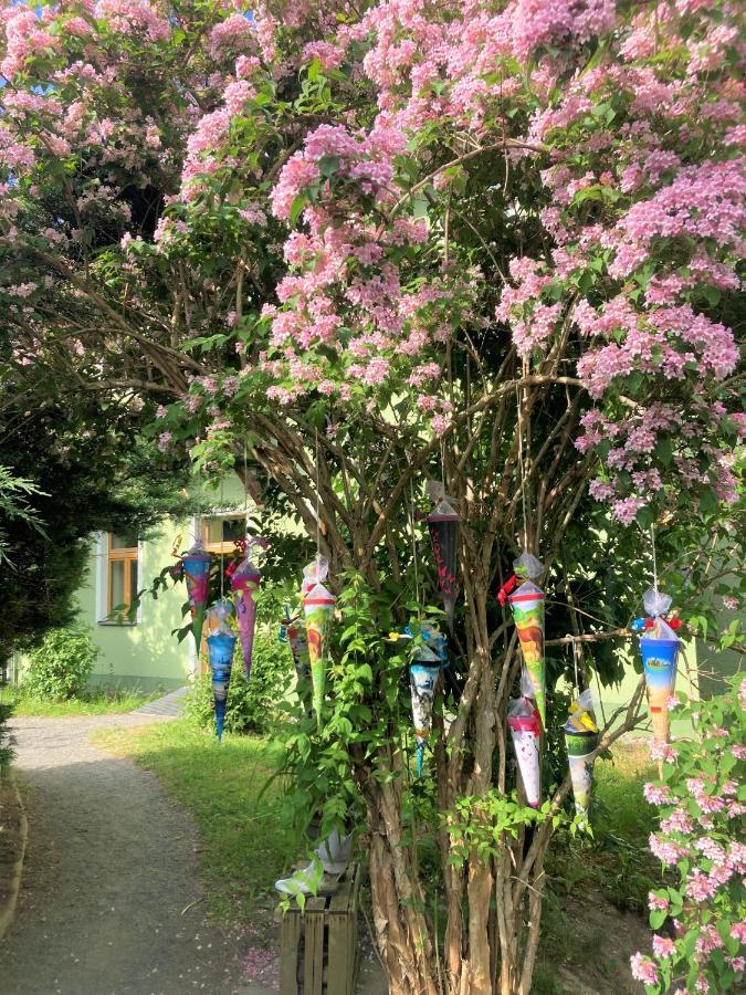 Wohlfuehlherberge Weitblick Erlbach  Exterior foto